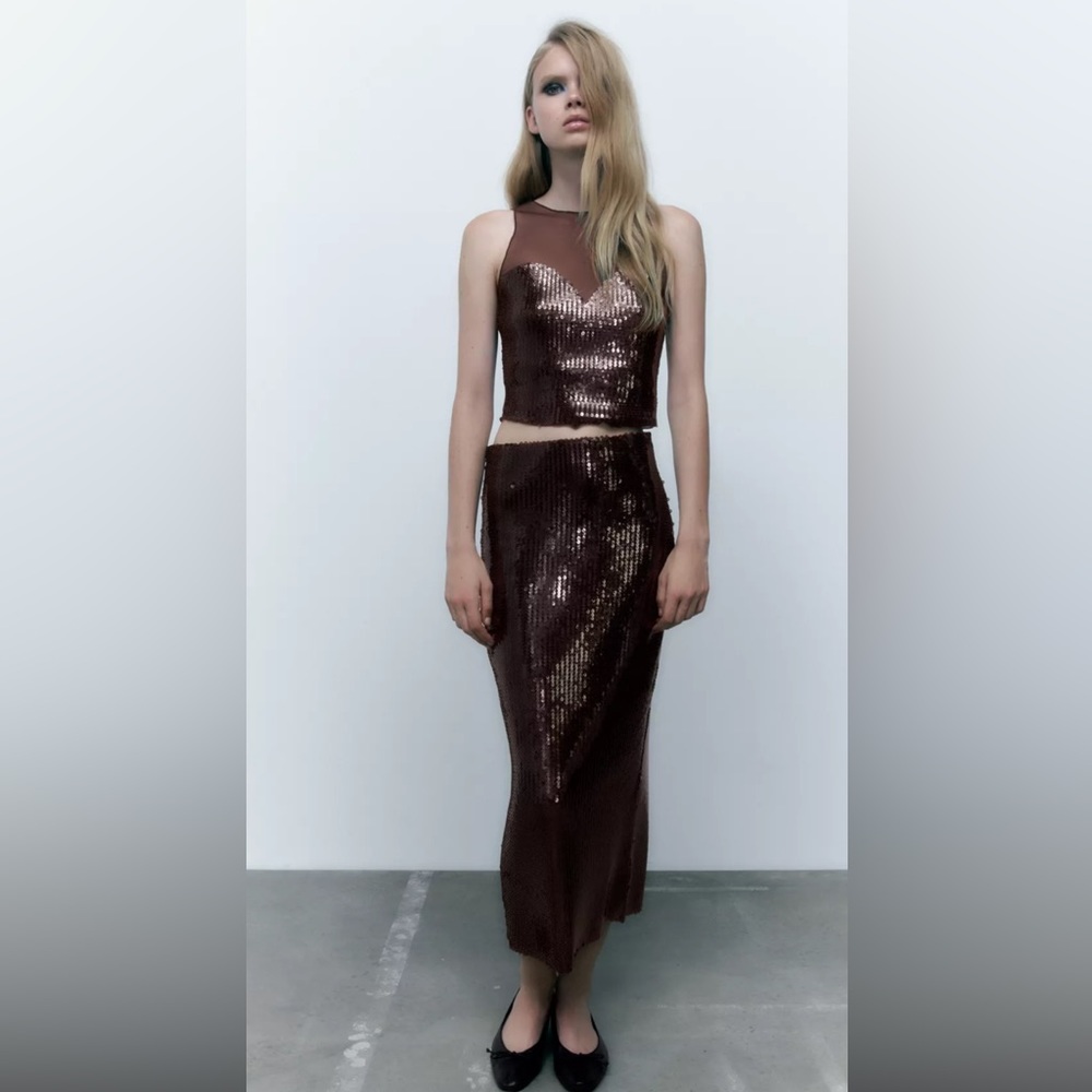 Zara Sequin Skirt